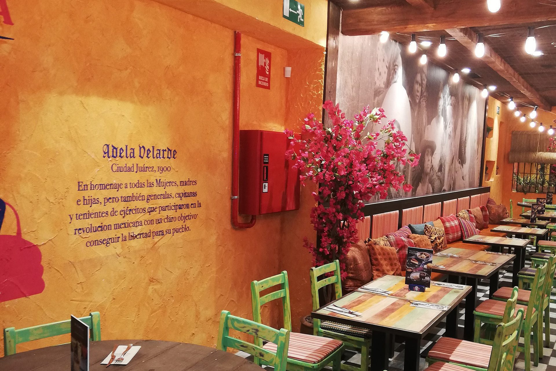pci restaurante chelinda