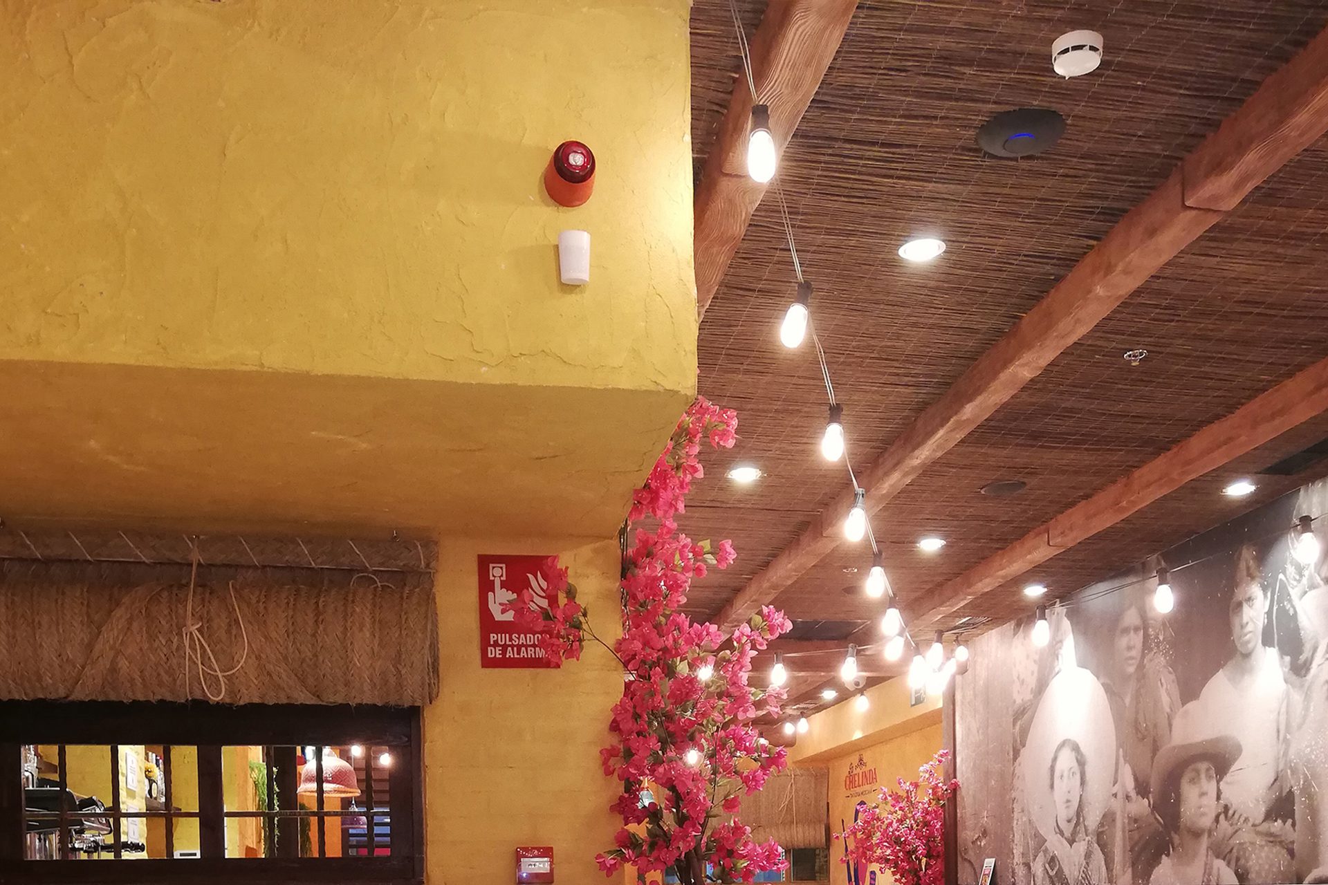 pci restaurante chelinda
